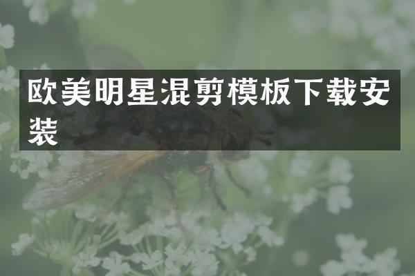 欧美明星混剪模板下载安装