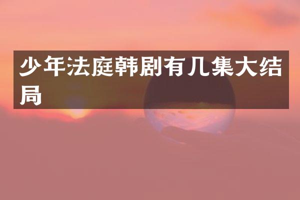 少年法庭韩剧有几集大结局