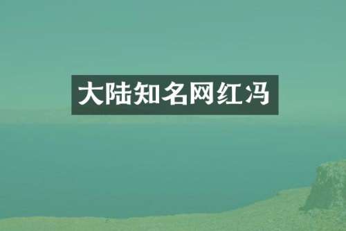 大陆知名网红冯
