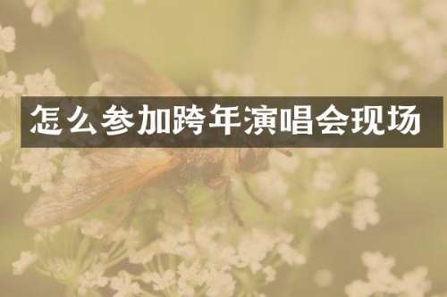 怎么参加跨年演唱会现场