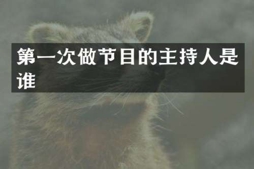 第一次做节目的主持人是谁