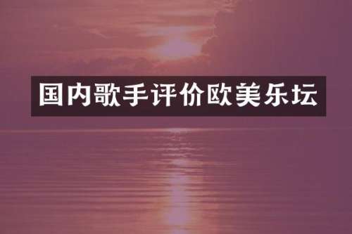 国内歌手评价欧美乐坛
