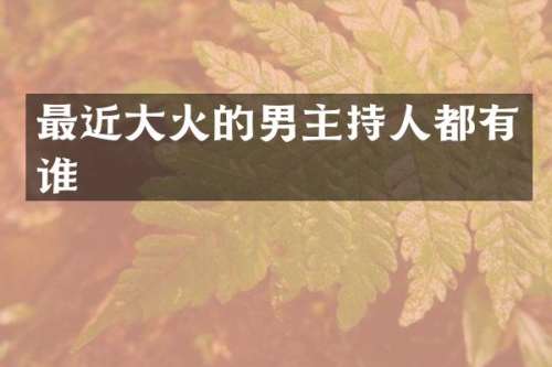 最近大火的男主持人都有谁