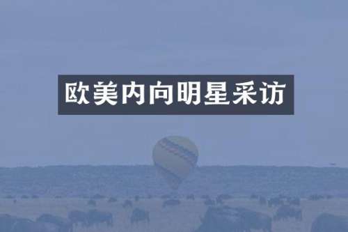 欧美内向明星采访