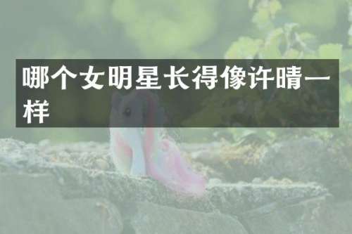 哪个女明星长得像许晴一样