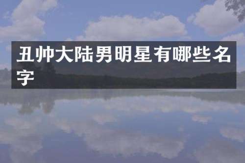 丑帅大陆男明星有哪些名字