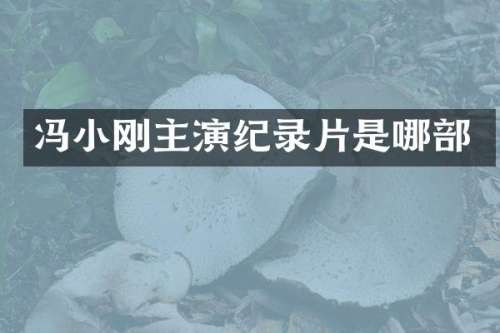 冯小刚主演纪录片是哪部