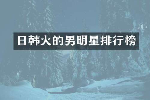日韩火的男明星排行榜