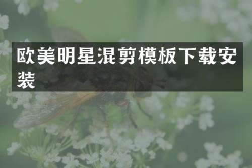欧美明星混剪模板下载安装