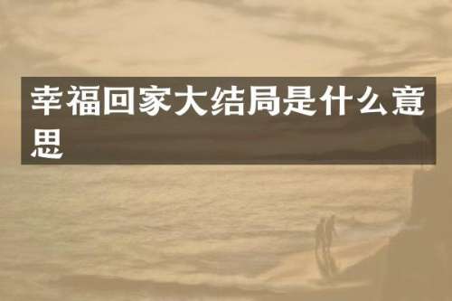 幸福回家大结局是什么意思