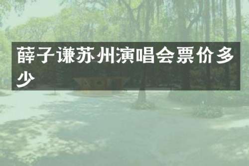 薛子谦苏州演唱会票价多少