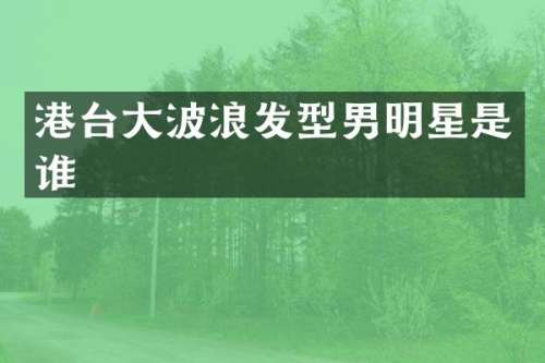 港台浪发型男明星是谁