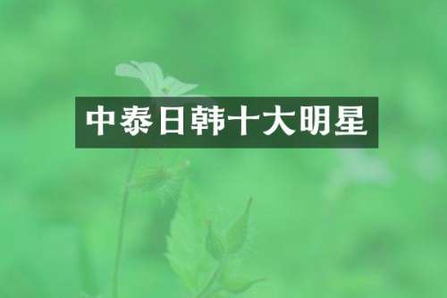 中泰日韩十大明星