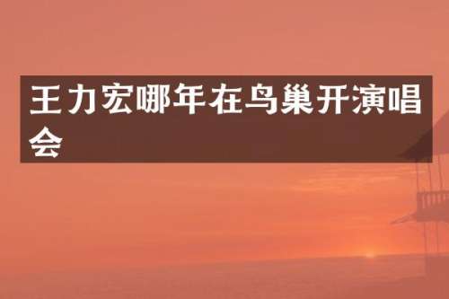 王力宏哪年在鸟巢开演唱会
