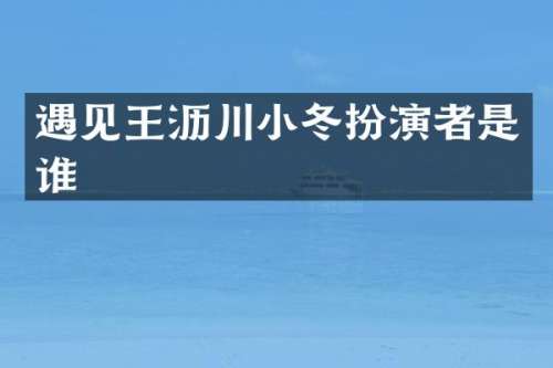 遇见王沥川小冬扮演者是谁