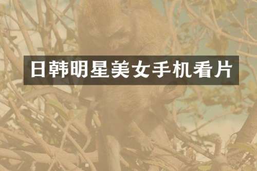日韩明星手机