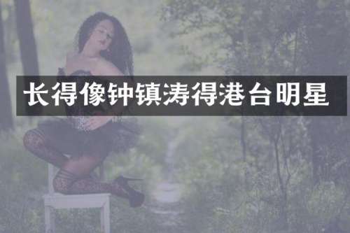长得像钟镇涛得港台明星