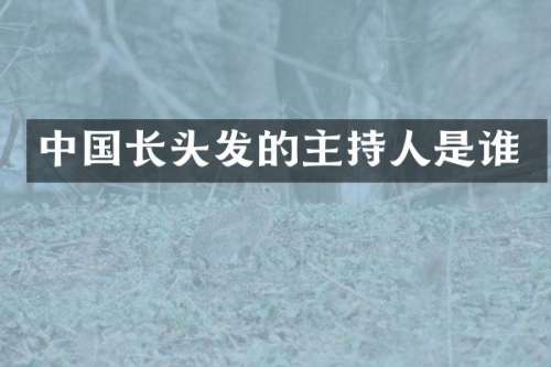 中国长头发的主持人是谁