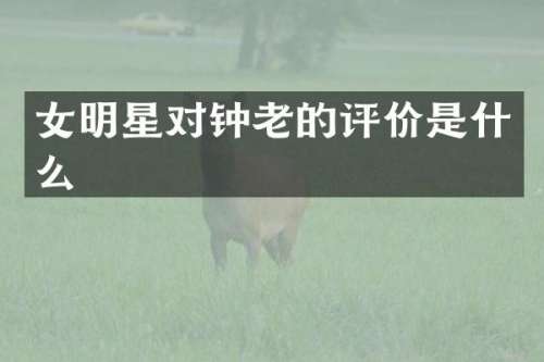 女明星对钟老的评价是什么