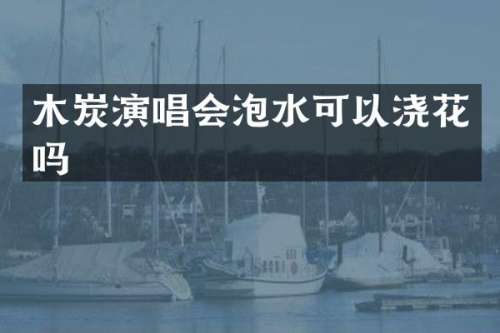 木炭演唱会泡水可以浇花吗
