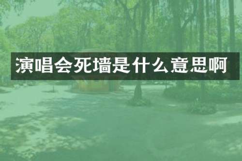 演唱会死墙是什么意思啊