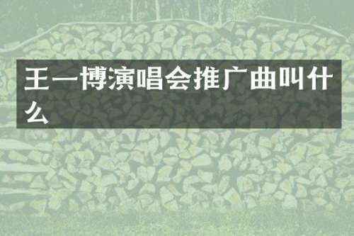 王一博演唱会推广曲叫什么