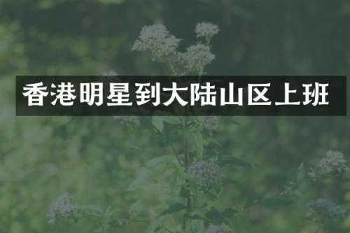 香港明星到大陆山区上班