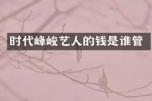 时代峰峻艺人的钱是谁管