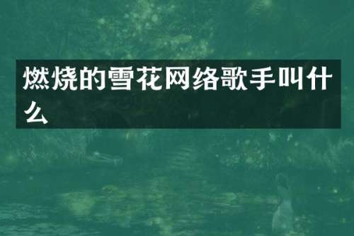 燃烧的雪花网络歌手叫什么