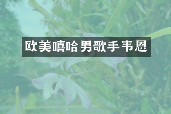 欧美嘻哈男歌手韦恩