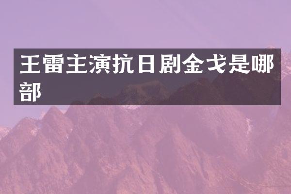 王雷主演抗日剧金戈是哪部