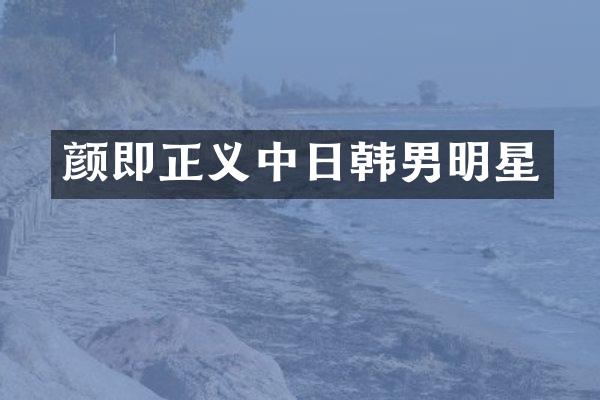 颜即正义中日韩男明星