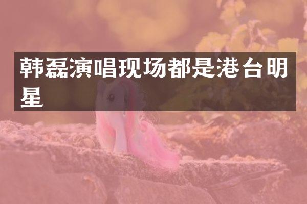 韩磊演唱现场都是港台明星