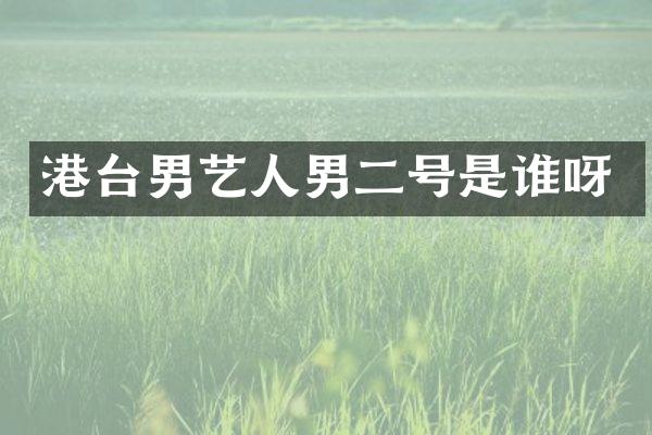 港台男艺人男二号是谁呀