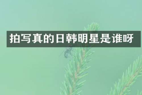 拍写真的日韩明星是谁呀