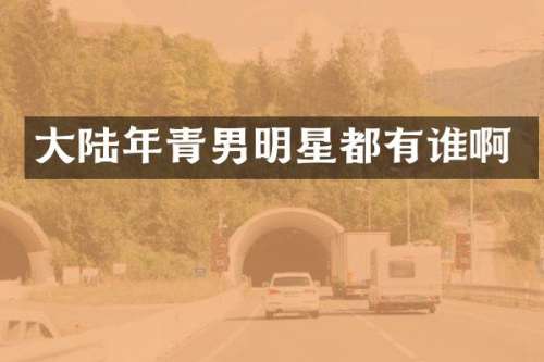 大陆年青男明星都有谁啊