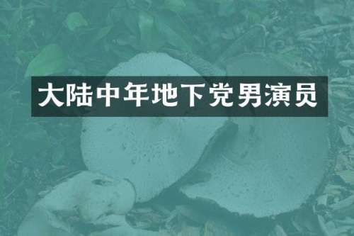 大陆中年地下党男演员