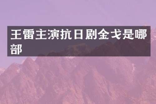 王雷主演抗日剧金戈是哪部