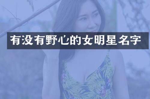 有没有野心的女明星名字