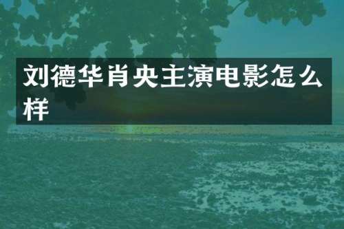 刘德华肖央主演电影怎么样