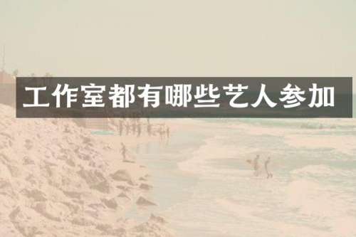 工作室都有哪些艺人参加