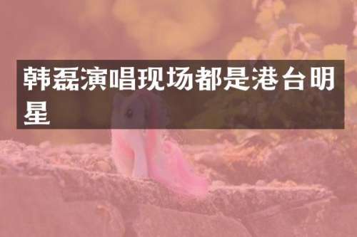 韩磊演唱现场都是港台明星