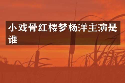 小戏骨红楼梦杨洋主演是谁