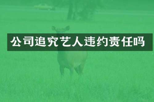 公司追究艺人违约责任吗