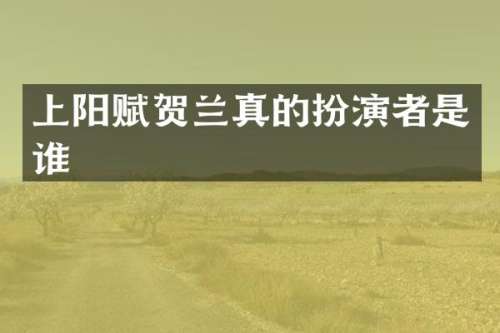 上阳赋贺兰真的扮演者是谁