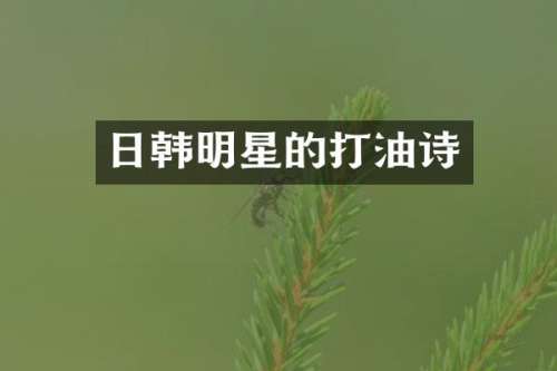 日韩明星的打油诗