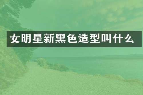 女明星新黑色造型叫什么