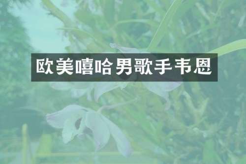 欧美嘻哈男歌手韦恩