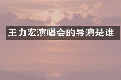 王力宏演唱会的导演是谁