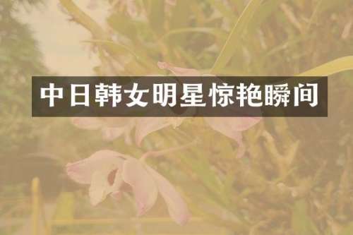 中日韩女明星惊艳瞬间